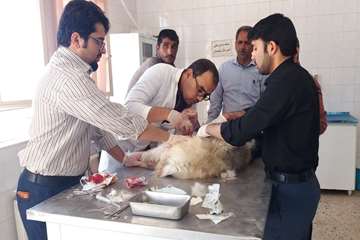جراحی